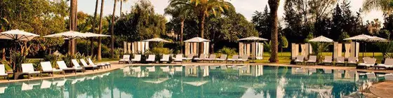 Sofitel Rabat Jardins Des Roses | Rabat (ve civarı) - Rabat - Souissi