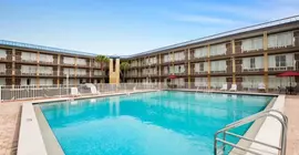 Days Inn Tampa North of Busch Gardens | Florida - Tampa (ve civarı) - Tampa