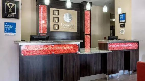 Comfort Inn & Suites Mansfield | Louisiana - Mansfield