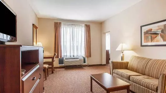 Comfort Inn & Suites Atoka | Tennessee - Memphis (ve civarı) - Atoka