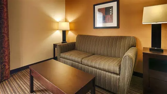 Best Western Plus Houma Inn | Louisiana - Houma (ve civarı) - Gray