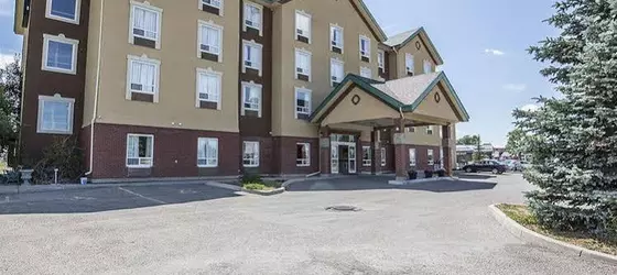 Comfort Inn Lethbridge | Alberta - Lethbridge (ve civarı) - Lethbridge