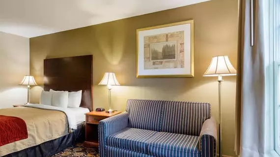 Comfort Inn Auburn | Massachusetts - Worcester (ve civarı) - Auburn