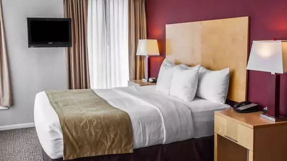 Comfort Suites Michigan Avenue | İllinois - Chicago (ve civarı) - Chicago - The Loop