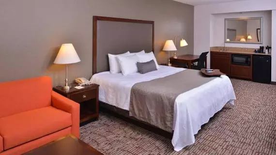 Best Western Plus Wichita West Airport Inn | Kansas - Wichita (ve civarı) - Viçita