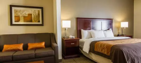 Comfort Inn & Suites Market Center | Teksas - Dallas (ve civarı) - Dallas