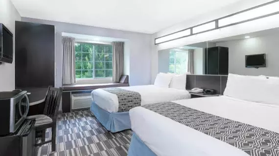 Microtel Inn & Suites by Wyndham Hoover/Birmingham | Alabama - Birmingham (ve civarı) - Bessemer - Hoover