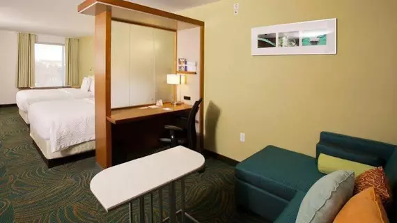 Springhill Suites Mobile | Alabama - Mobile (ve civarı) - Mobile