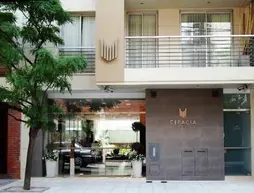 Espacia Suites | Buenos Aires (ili) - Buenos Aires (ve civarı) - Buenos Aires - Colegiales