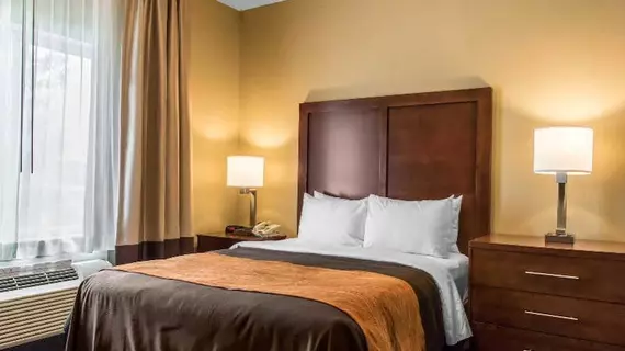 Comfort Inn Lancaster County | Pensilvanya - Lancaster (ve civarı) - Columbia