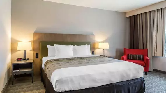 Best Western Plus Westheimer Westchase Inn & Suites | Teksas - Houston (ve civarı) - Houston - Westchase