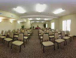 Sleep Inn And Suites Pineville | Louisiana - Alexandria (ve civarı) - Pineville