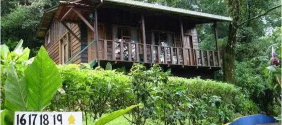 Hotel Ficus | Puntarenas (ili) - Monteverde