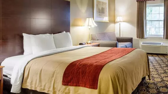 Comfort Inn Auburn | Massachusetts - Worcester (ve civarı) - Auburn