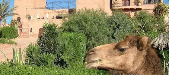 Kasbah Le Mirage | Marakeş (ve civarı) - Marrakech