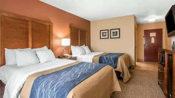 Comfort Inn Livingston | Alabama - Demopolis (ve civarı) - Livingston