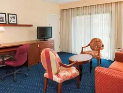 Courtyard By Marriott Baltimore BWI Airport | Maryland - Baltimore (ve civarı) - Linthicum Heights