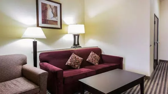 Comfort Suites North Pflugerville | Teksas - Austin (ve civarı) - Pflugerville