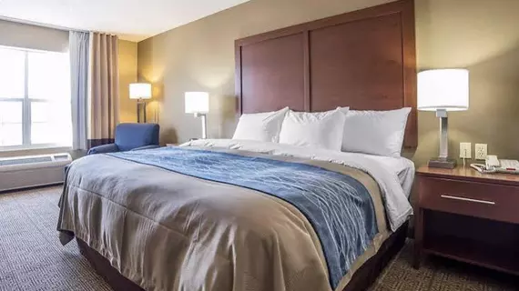 Comfort Inn Saint George North | Utah - St. George (ve civarı) - St. George