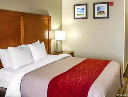 Comfort Inn & Suites Coralville | Iowa - Cedar Rapids - Iowa City (ve civarı) - Coralville