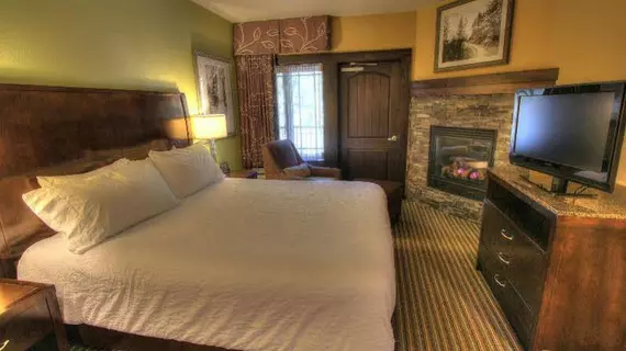 HILTON GARDEN INN GATLINBURG | Tennessee - Gatlinburg - Pigeon Forge (ve civarı) - Gatlinburg