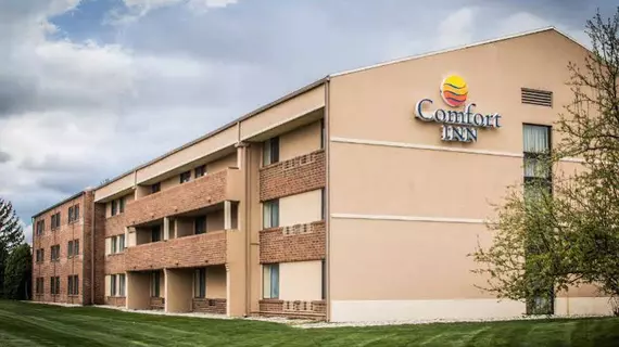 Comfort Inn Lansing | Michigan - Lansing (ve civarı) - Lansing