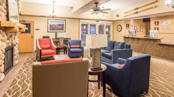 Comfort Suites Anchorage International Airport | Alaska - Anchorage (ve civarı) - Anchorage - Spenard