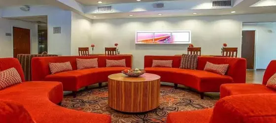 SpringHill Suites Savannah Midtown | Georgia - Savannah (ve civarı) - Savana - Midtown