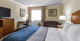 Quality Inn and Suites LAX Airport | Kaliforniya - Los Angeles County - Los Angeles - LAX Bölgesi