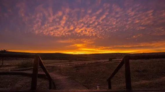 Gorah Elephant Camp | Eastern Cape - Sundays River Valley - Addo