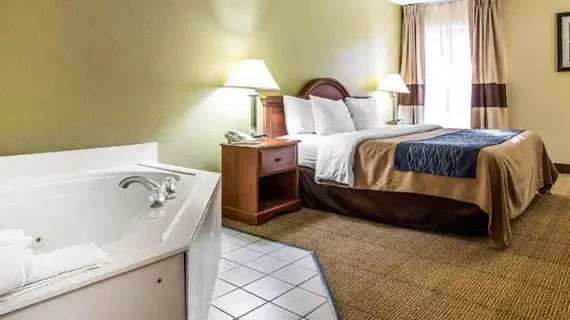 Comfort Inn Darien | Georgia - Brunswick (ve civarı) - Darien