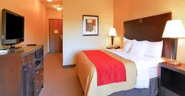 Comfort Inn & Suites Scottsboro | Alabama - Scottsboro (ve civarı) - Scottsboro