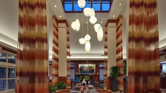 Hilton Garden Inn Lafayette/Cajundome | Louisiana - Lafayette (ve civarı) - Lafayette