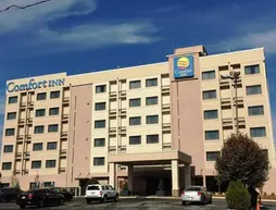 Comfort Inn Atlanta Downtown South | Georgia - Atlanta (ve civarı) - Atlanta