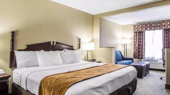 Comfort Suites Lansing | İllinois - Lansing