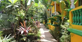 Don Joao Resort | Goa - Kuzey Goa - Anjuna