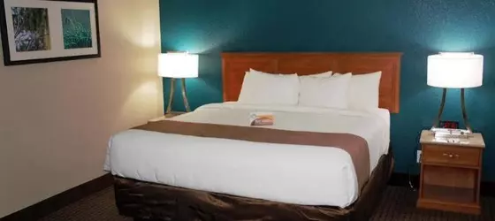 Quality Inn & Suites Alamogordo | New Mexico - Alamogordo (ve civarı) - Alamogordo