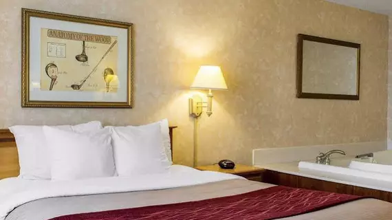 Quality Inn Brandon | Güney Dakota - Sioux Falls (ve civarı) - Brandon