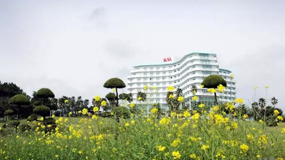 Seogwipo KAL Hotel | Jeju Adası - Seogwipo - Seogwipo Şehri