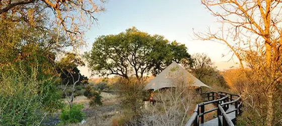 Hamiltons Tented Camp Hotel | Mpumalanga - Mbombela - Kruger National Park