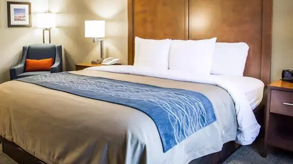 Comfort Inn & Suites Sanford | Florida - Sanford