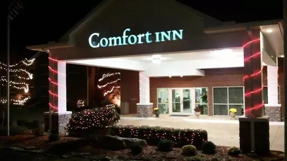 Comfort Inn Mountain Home | Arkansas - Mountain Home (ve civarı) - Mountain Home