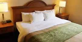 Comfort Inn & Suites - Chesterfield | Missouri - St. Louis (ve civarı) - Chesterfield