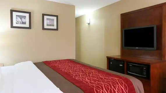 Comfort Inn & Suites Leeds | Alabama - Birmingham (ve civarı) - Leeds