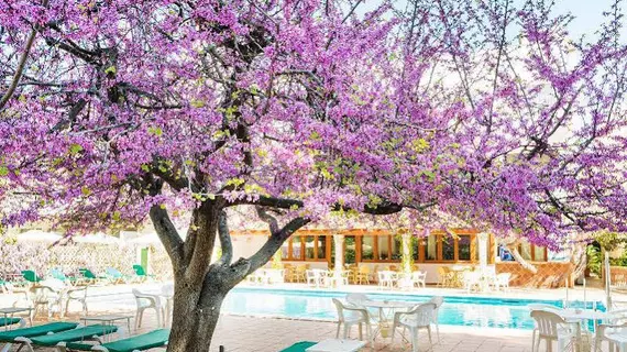 Hotel Gaya | Balearic Adaları - Mayorka Adası - Calvia - Peguera