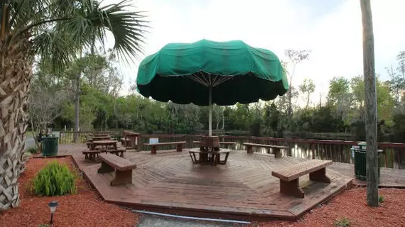 Tropical Palms Resort & Campground | Florida - Orlando (ve civarı) - Lake Buena Vista - Disney's Maingate East