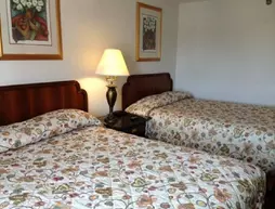 Super 8 Motel - Irving DFW Airport/South | Teksas - Dallas (ve civarı) - Irving