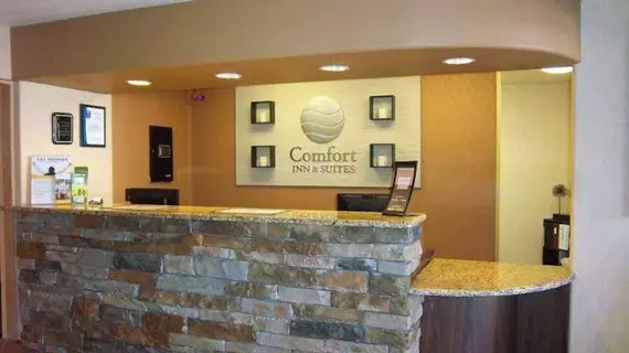 Comfort Inn & Suites Los Alamos | New Mexico - Santa Fe (ve civarı) - Los Alamos