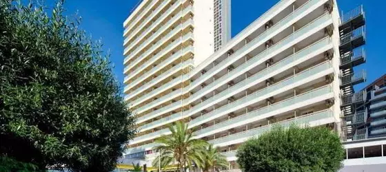 Benidorm Plaza | Valencia Bölgesi - Alicante (vilayet) - Marina Baja - Benidorm