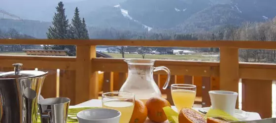 Hotel Reischach | Trentino-Alto Adige - Güney Tirol (il) - Brunico